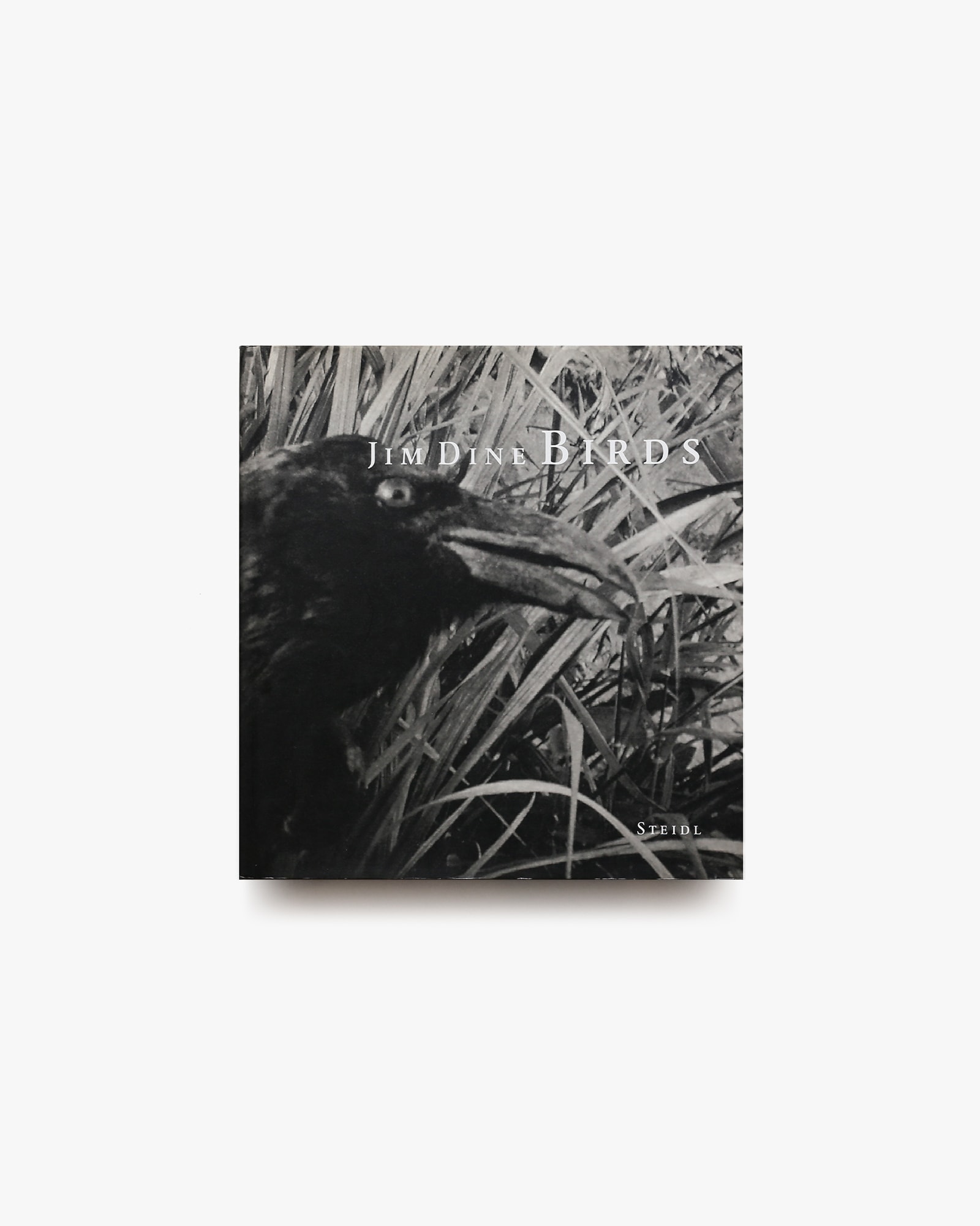 nsts-07411