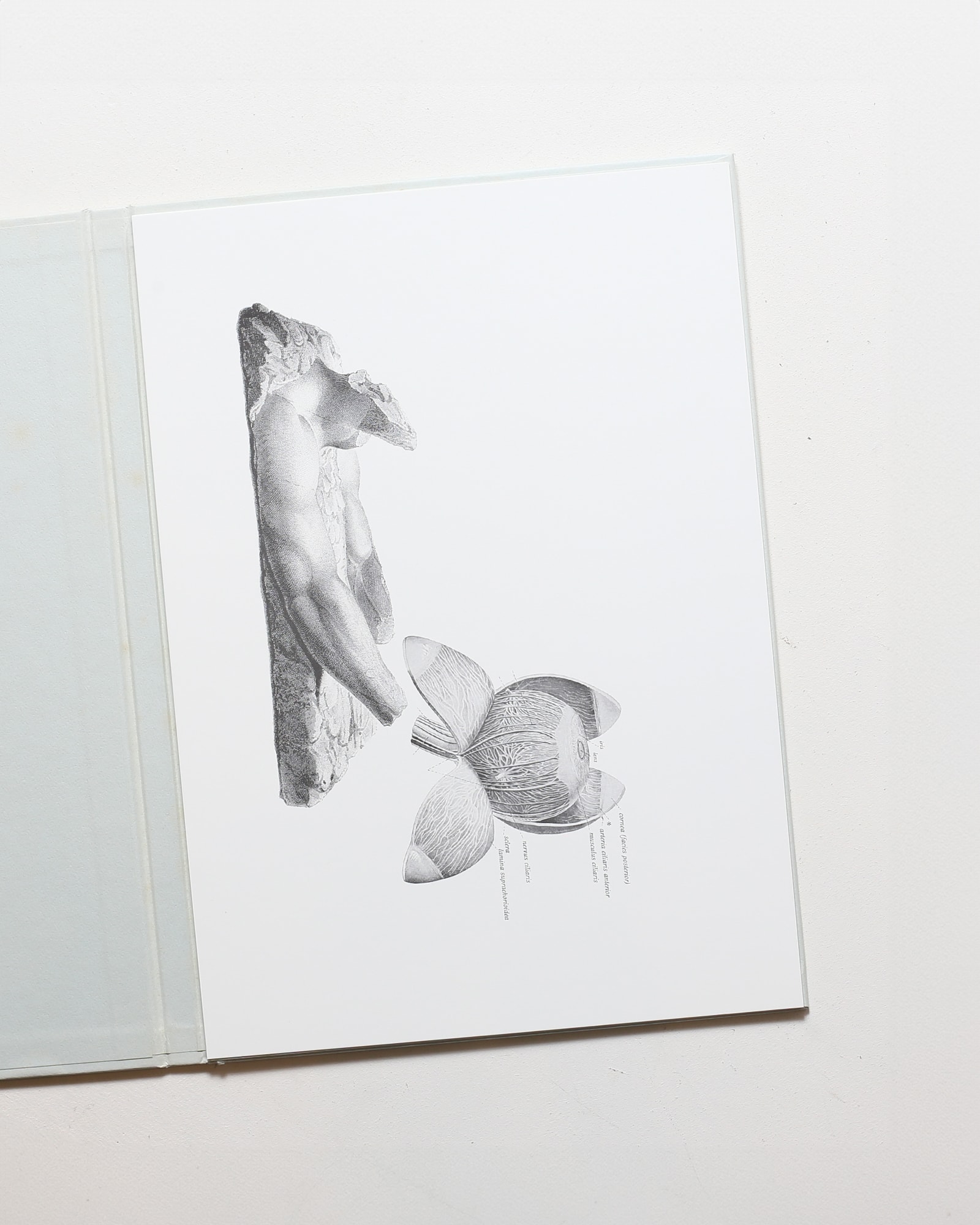 nsts-00127