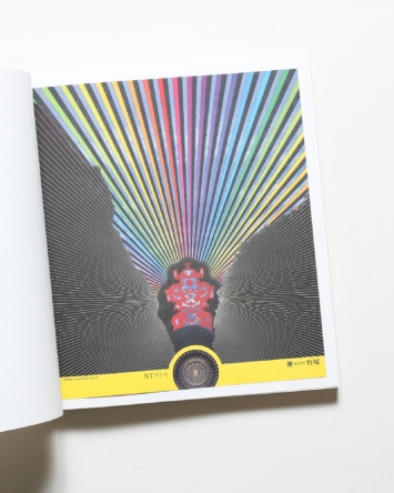 nsts-01306