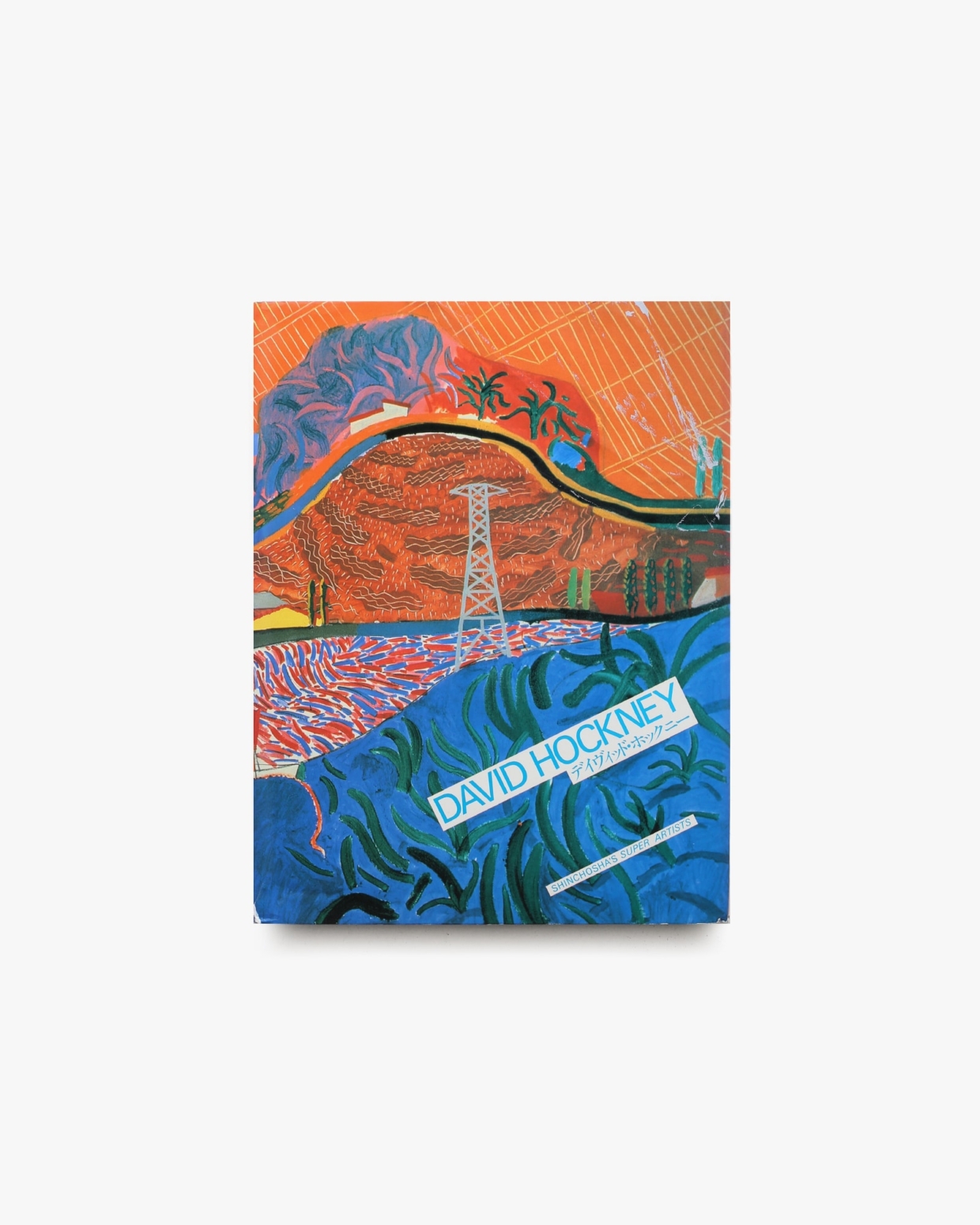 デイヴィッド・ホックニー | 新潮社 | nostos books ノストス