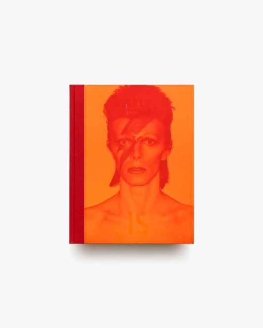 David Bowie is Inside | デヴィッド・ボウイ