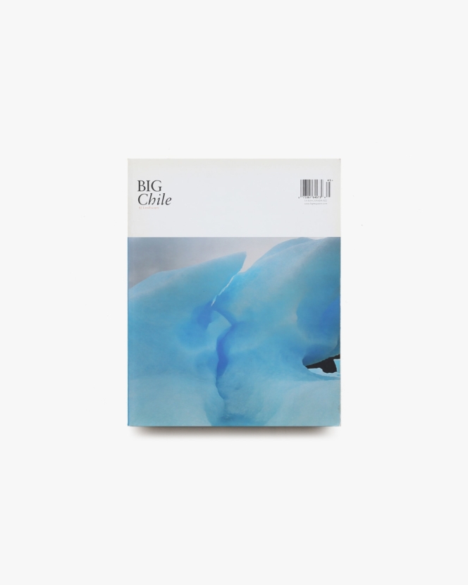 BIG Chile 45 Landscapes | Big Magazine