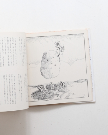 nsts-03732
