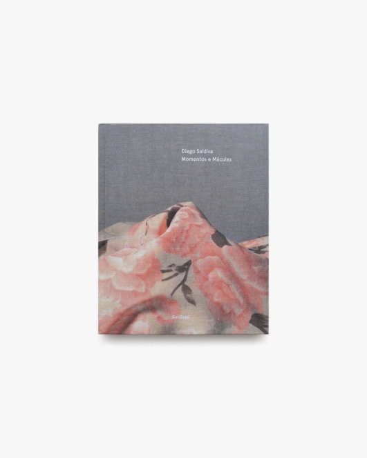 Momentos e Maculas | Diego Saldiva