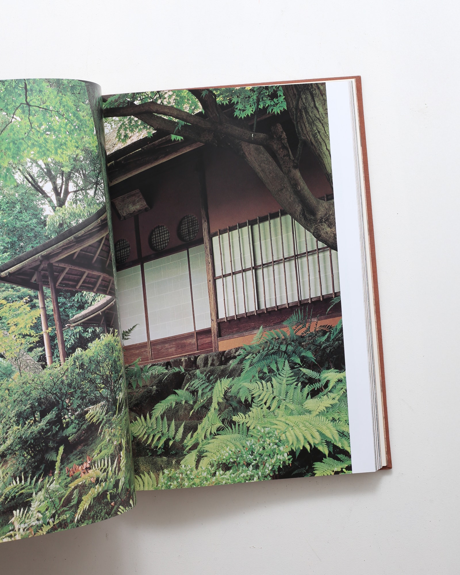 数寄屋 建築と庭園 | 恒成一訓、伊藤ていじ、横山正 | nostos
