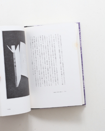 nsts-00287
