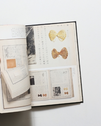 nsts-06068