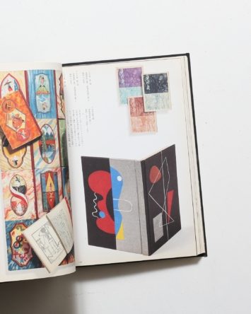 nsts-06068