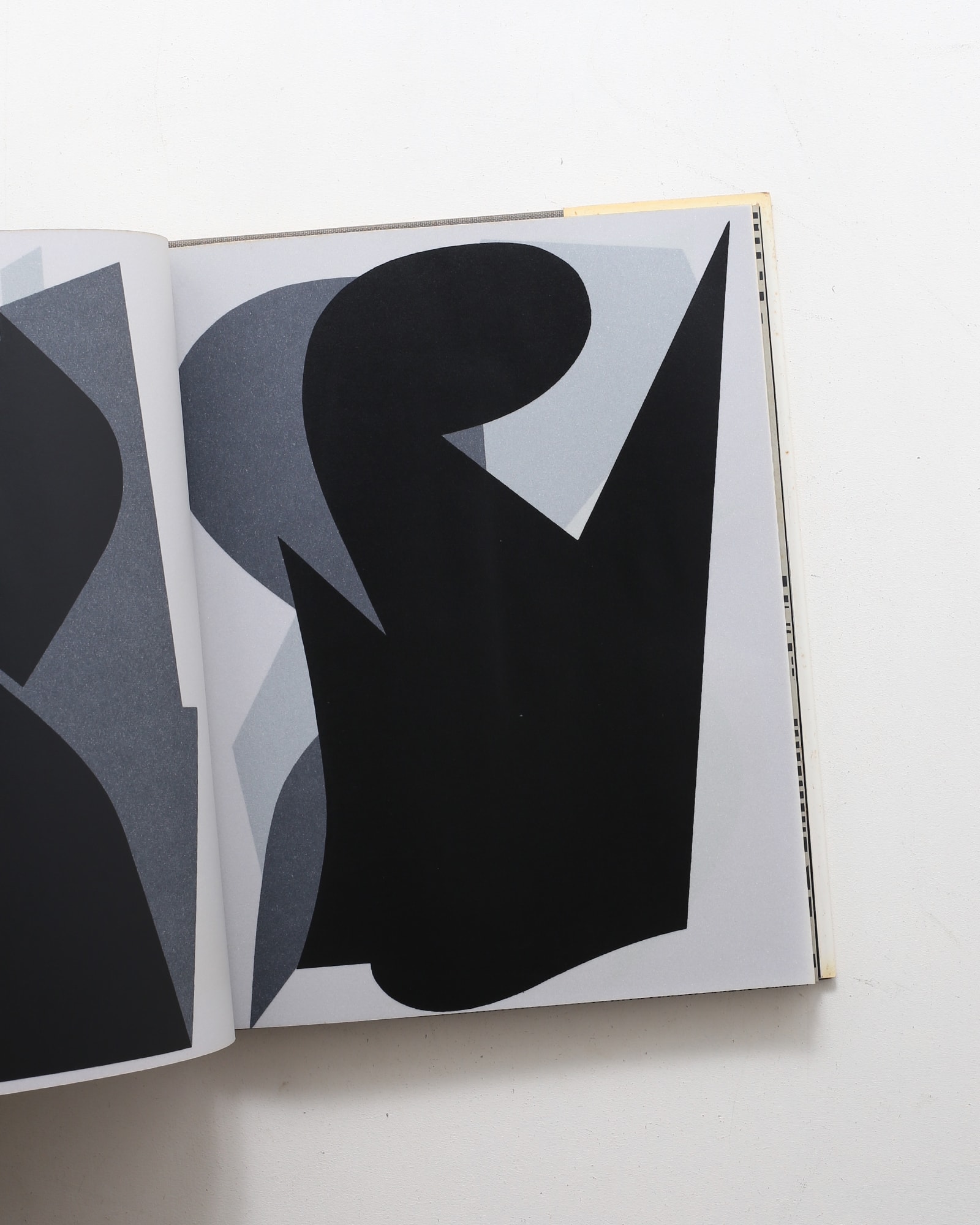 nsts-06544