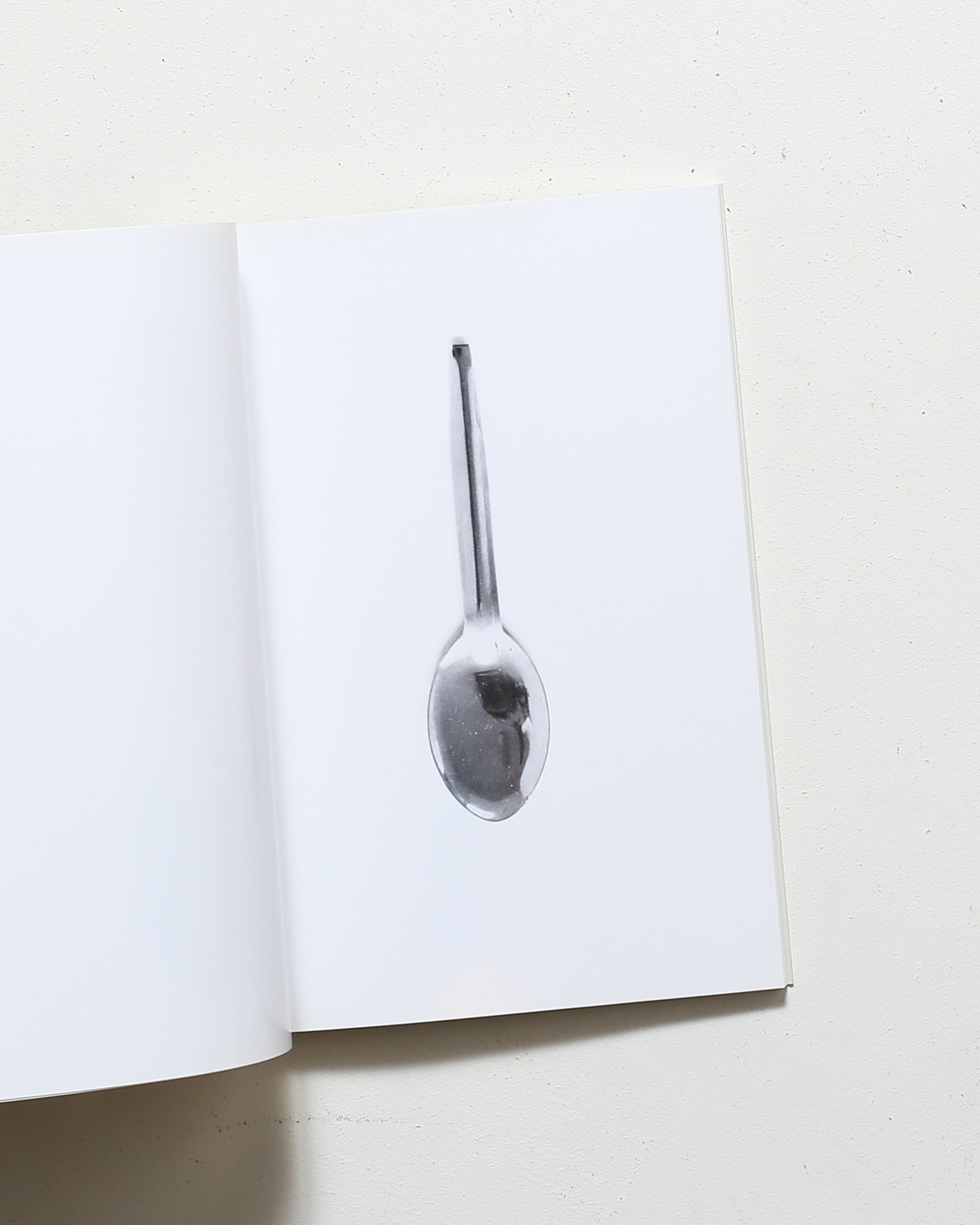 nsts-08115