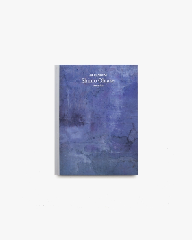ArT RANDOM 1 Shinro Ohtake 大竹伸朗: America  | 京都書院