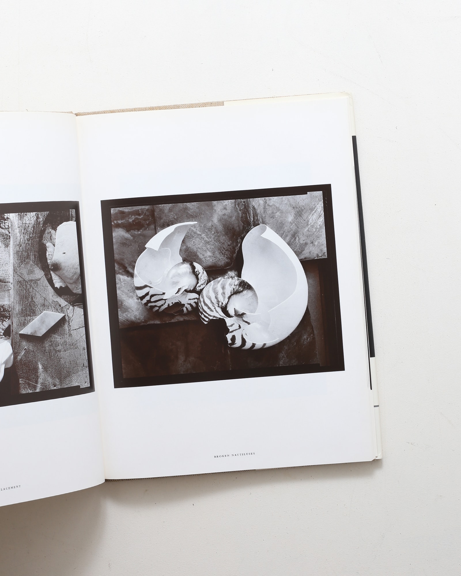 Weighing the Planets | Olivia Parker | nostos books ノストス