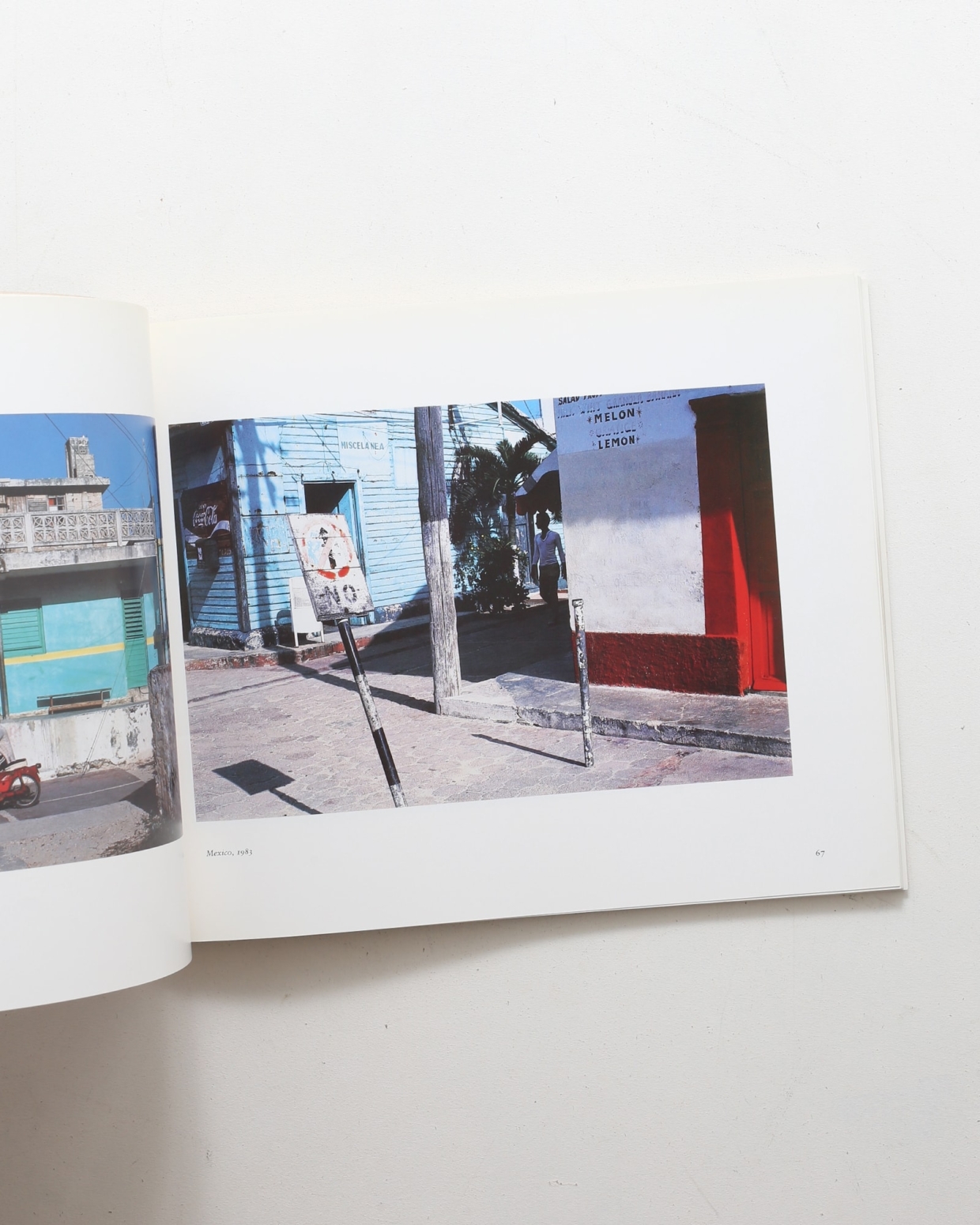 Harry Callahan: New Color Photographs 1978-1987 | ハリー