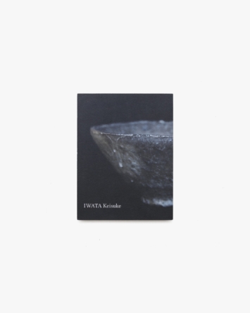 nsts-17323