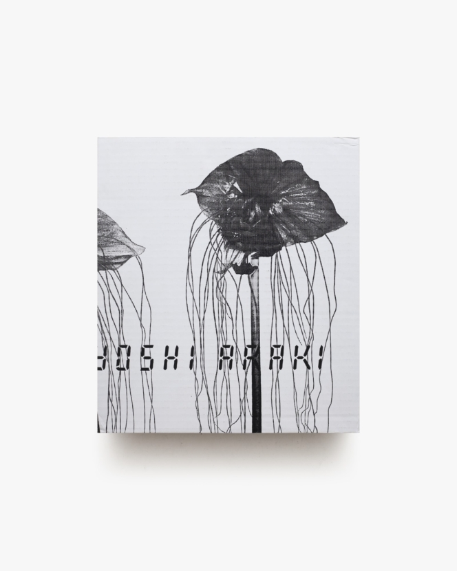 愛ノ花 | 荒木経惟