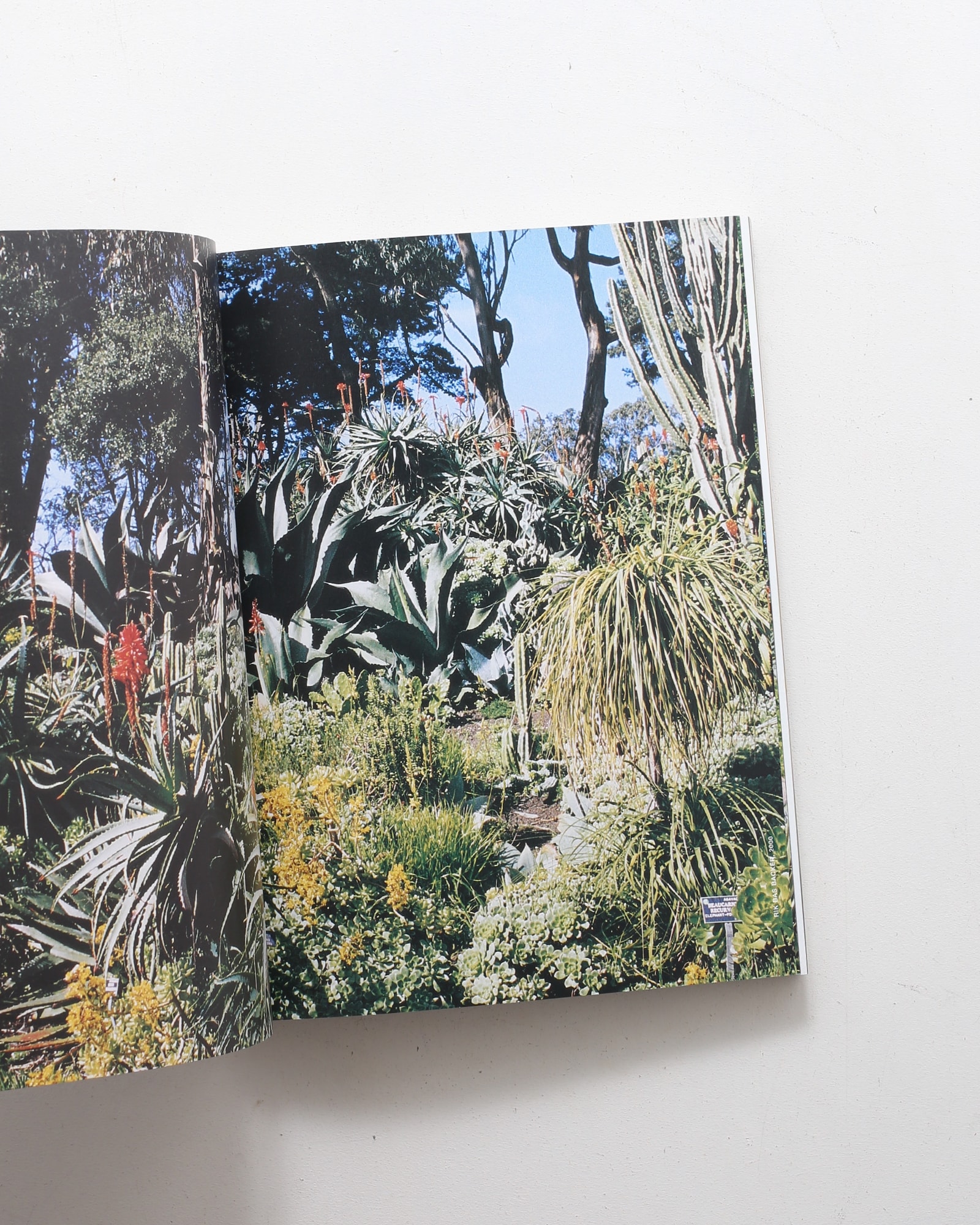 A.P.C. Carnet Commemoratif: 1987-2003 | Jean Touitou