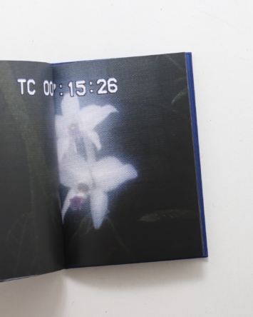 nsts-17438