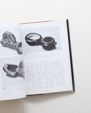 nsts-07079
