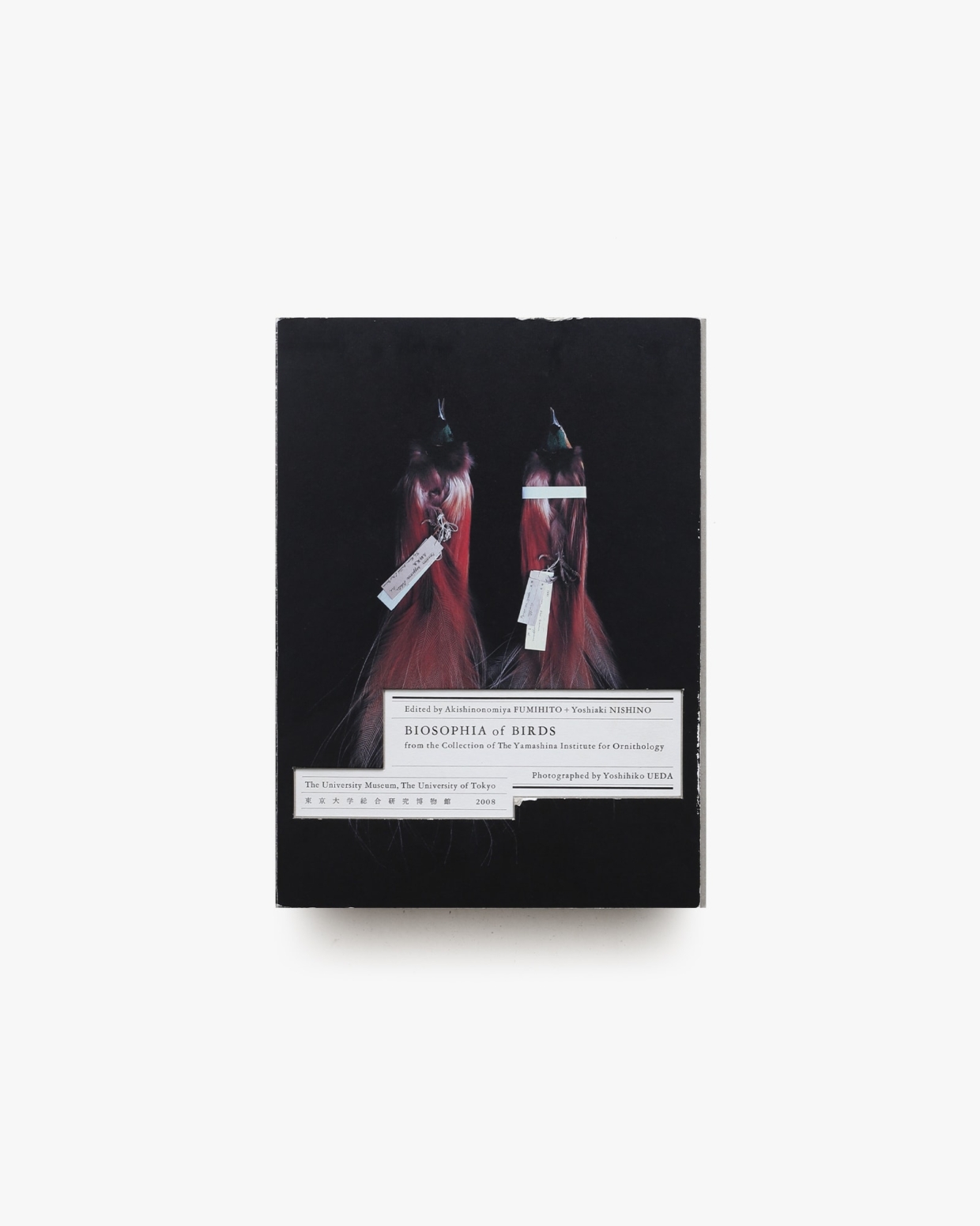 衝撃特価 鳥のビオソフィア Biosophia 上田義彦、西野嘉章 | Birds of アート・デザイン・音楽