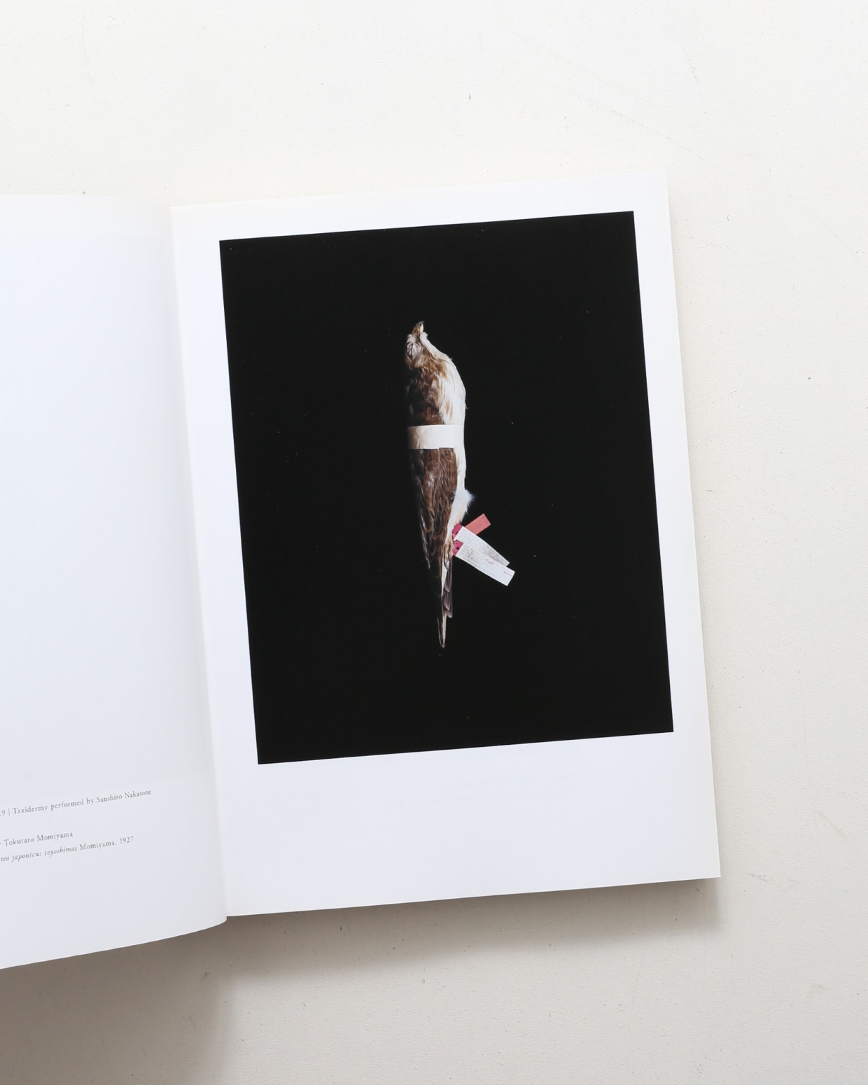 nsts-07839