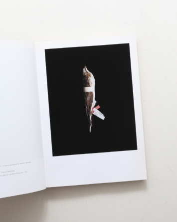 nsts-07839