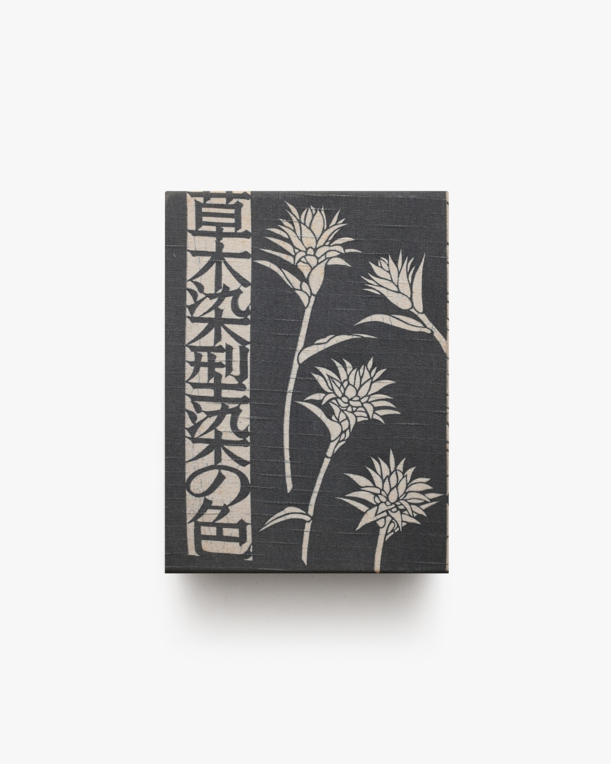 草木染 型染の色 | 山崎青樹 | nostos books ノストスブックス