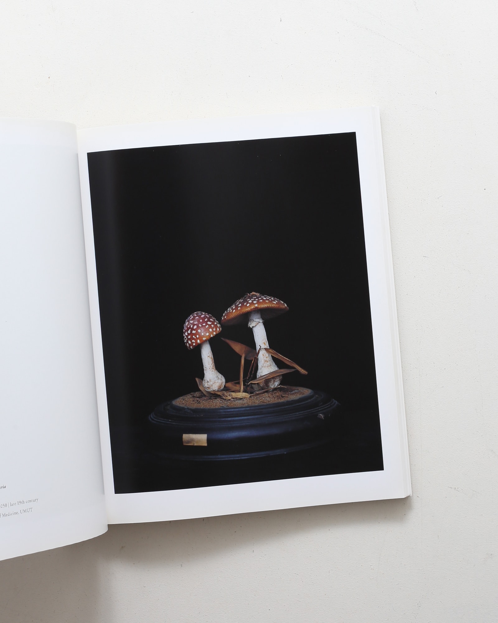 nsts-08135