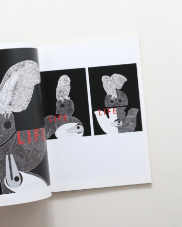 nsts-08186