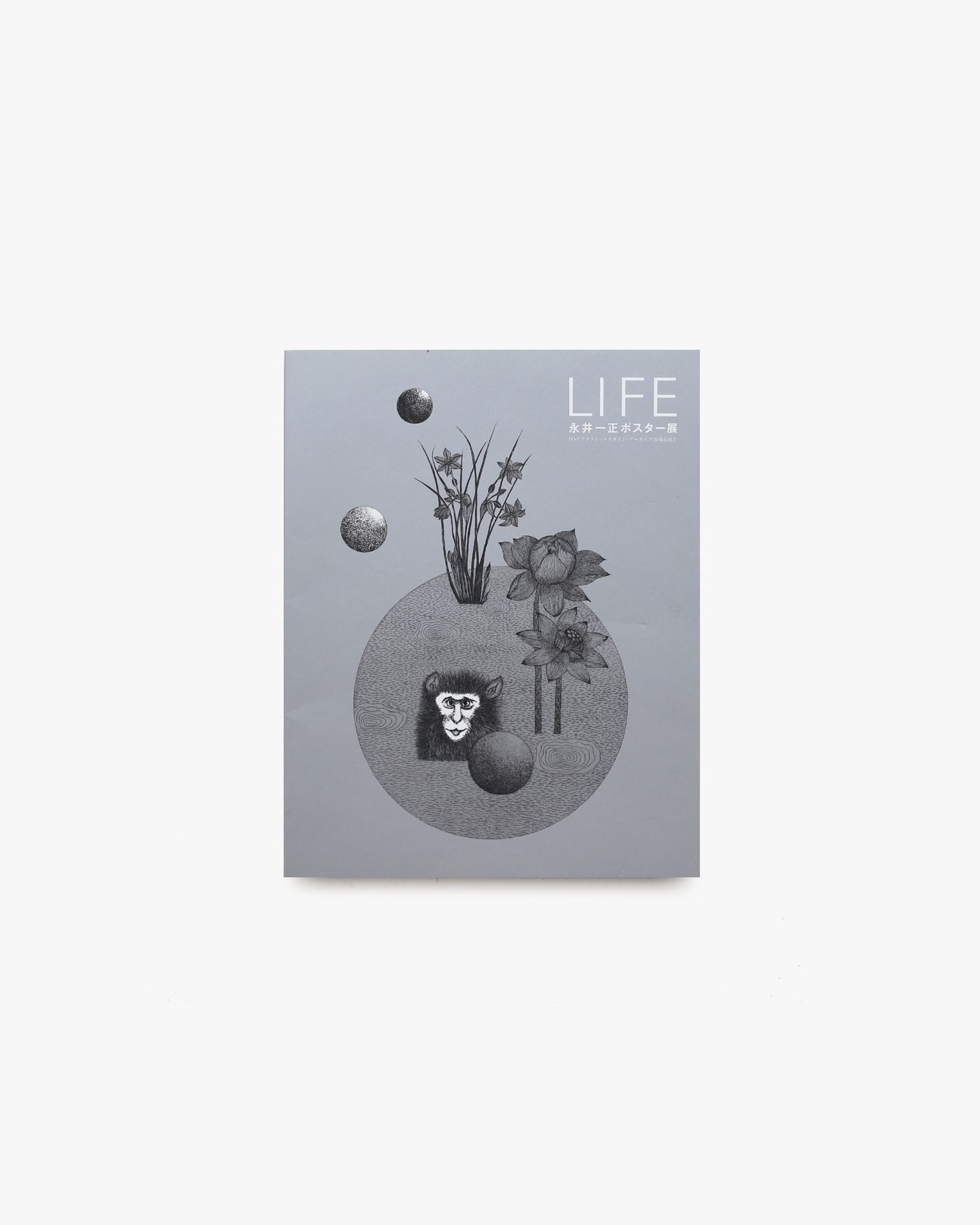 nsts-08186