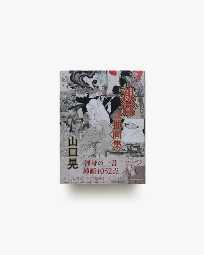 親鸞 全挿画集 | 山口晃
