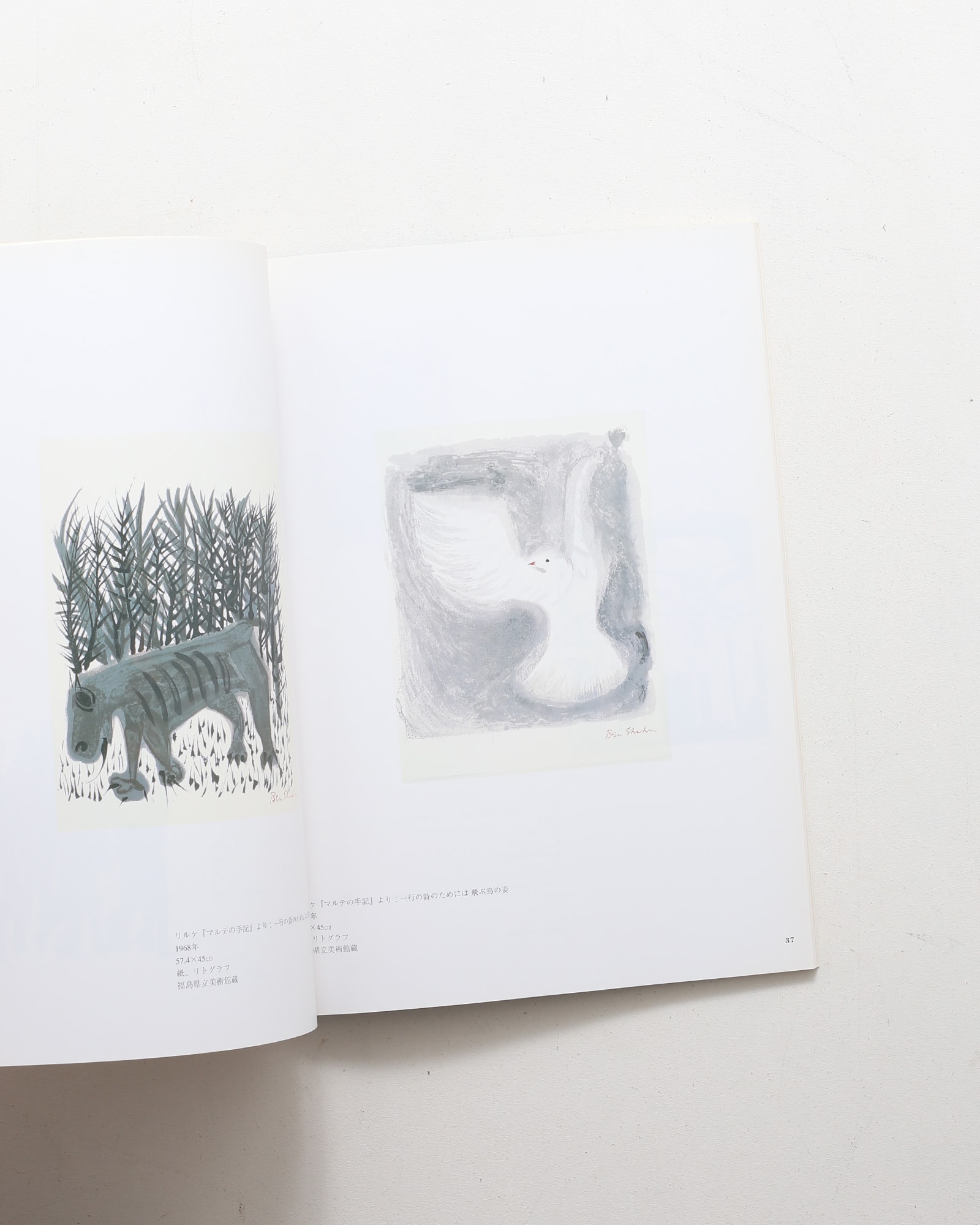 nsts-08666