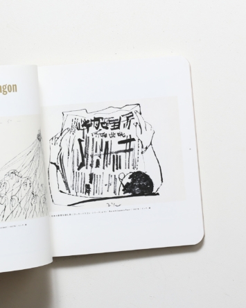 nsts-09087