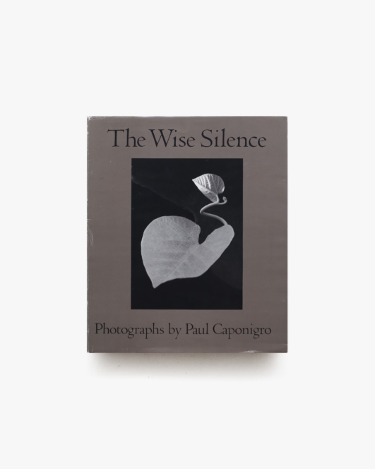 Paul Caponigro: The Wise Silence | ポール・カポニグロ