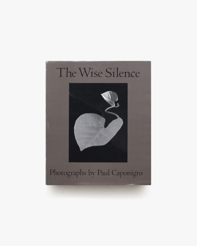 Paul Caponigro: The Wise Silence | ポール・カポニグロ