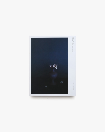 nsts-17589