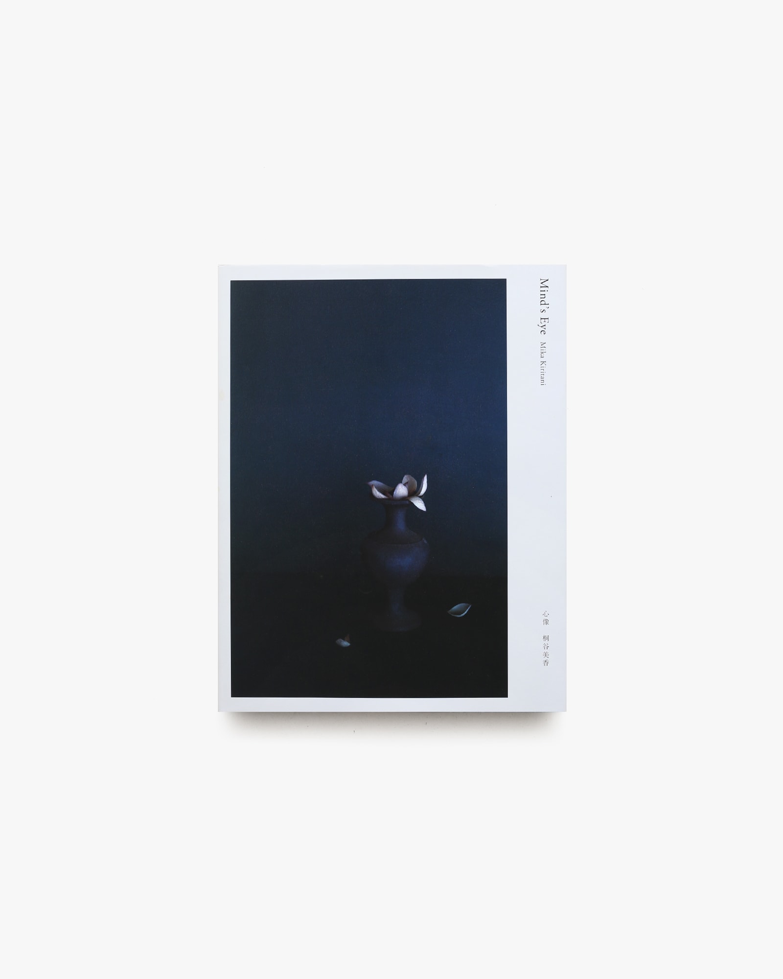 nsts-17589