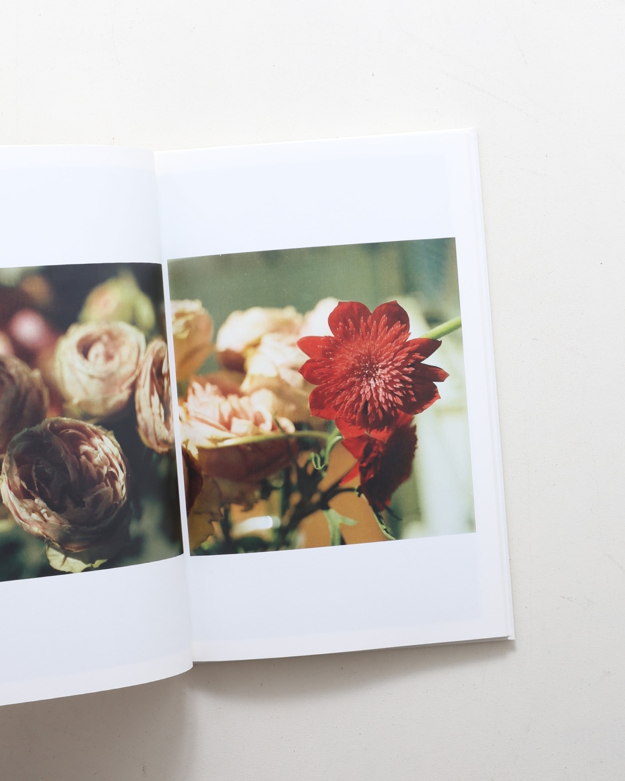 Lost Time | 高橋恭司 | nostos books ノストスブックス