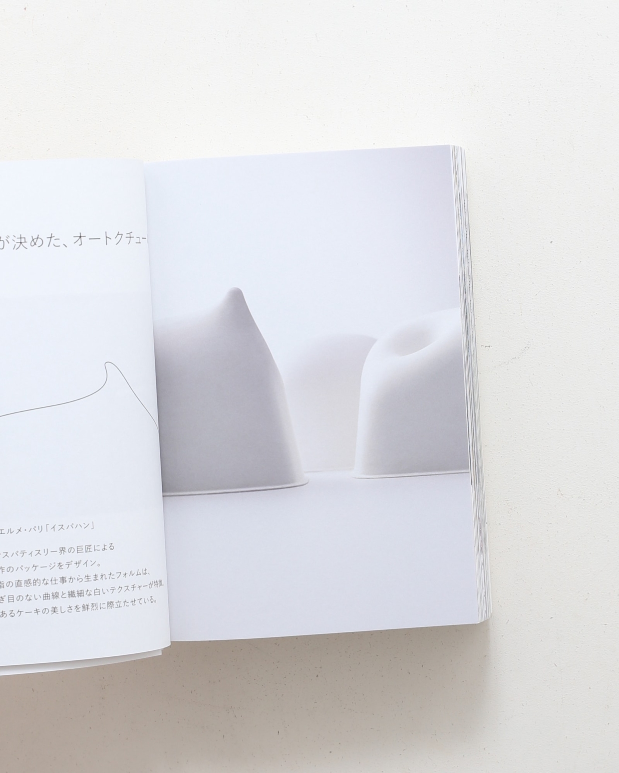 VISUALIZE 60 | 日本デザインセンター | nostos books ノストス