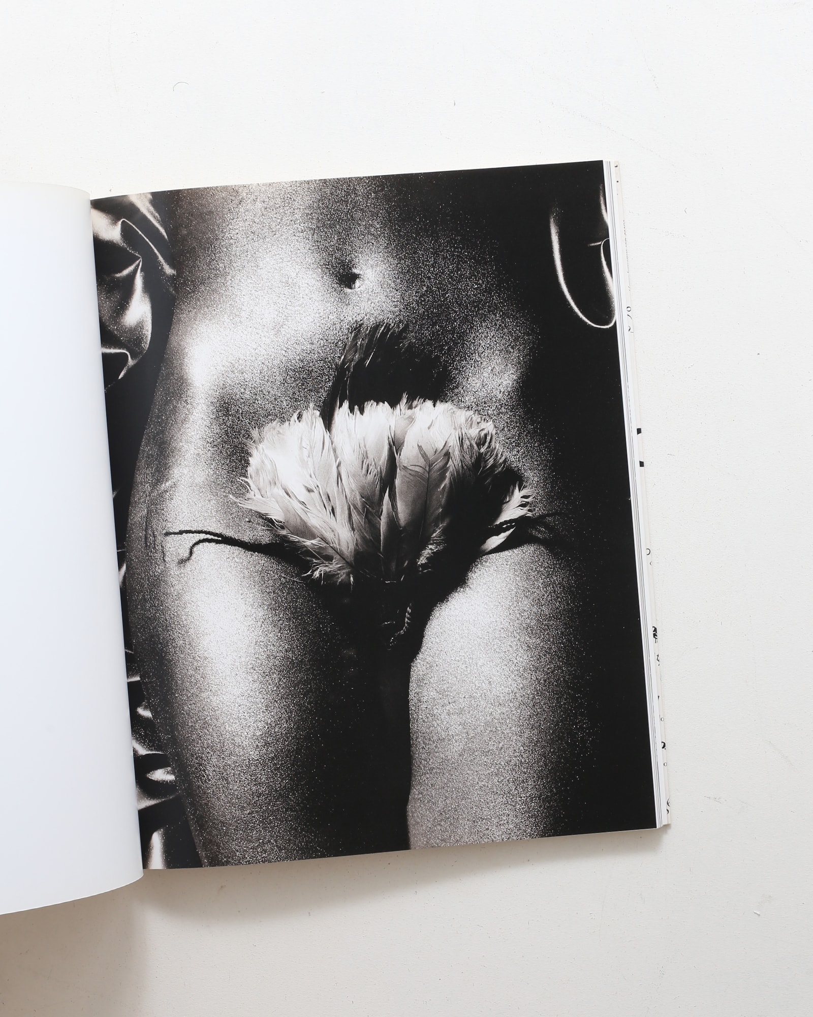 nsts-02789