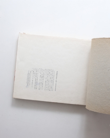 nsts-07051