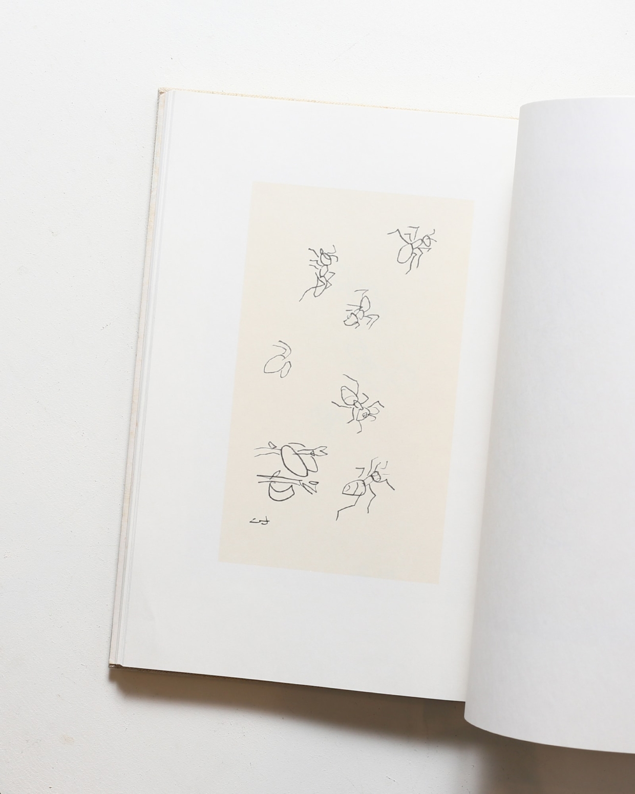 nsts-07873