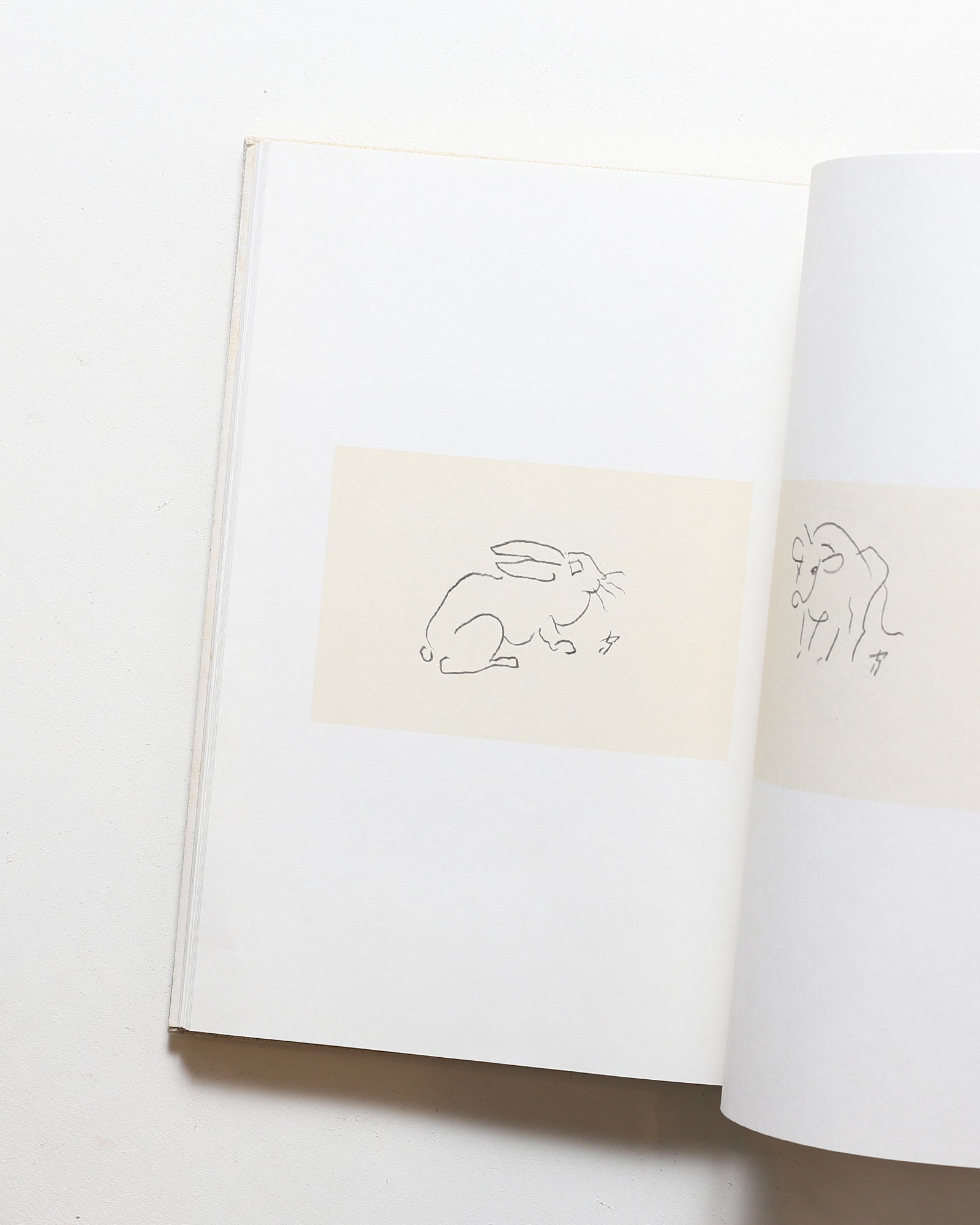 熊谷守一 クロッキー集 鳥獣虫魚 | 神無書房 | nostos books