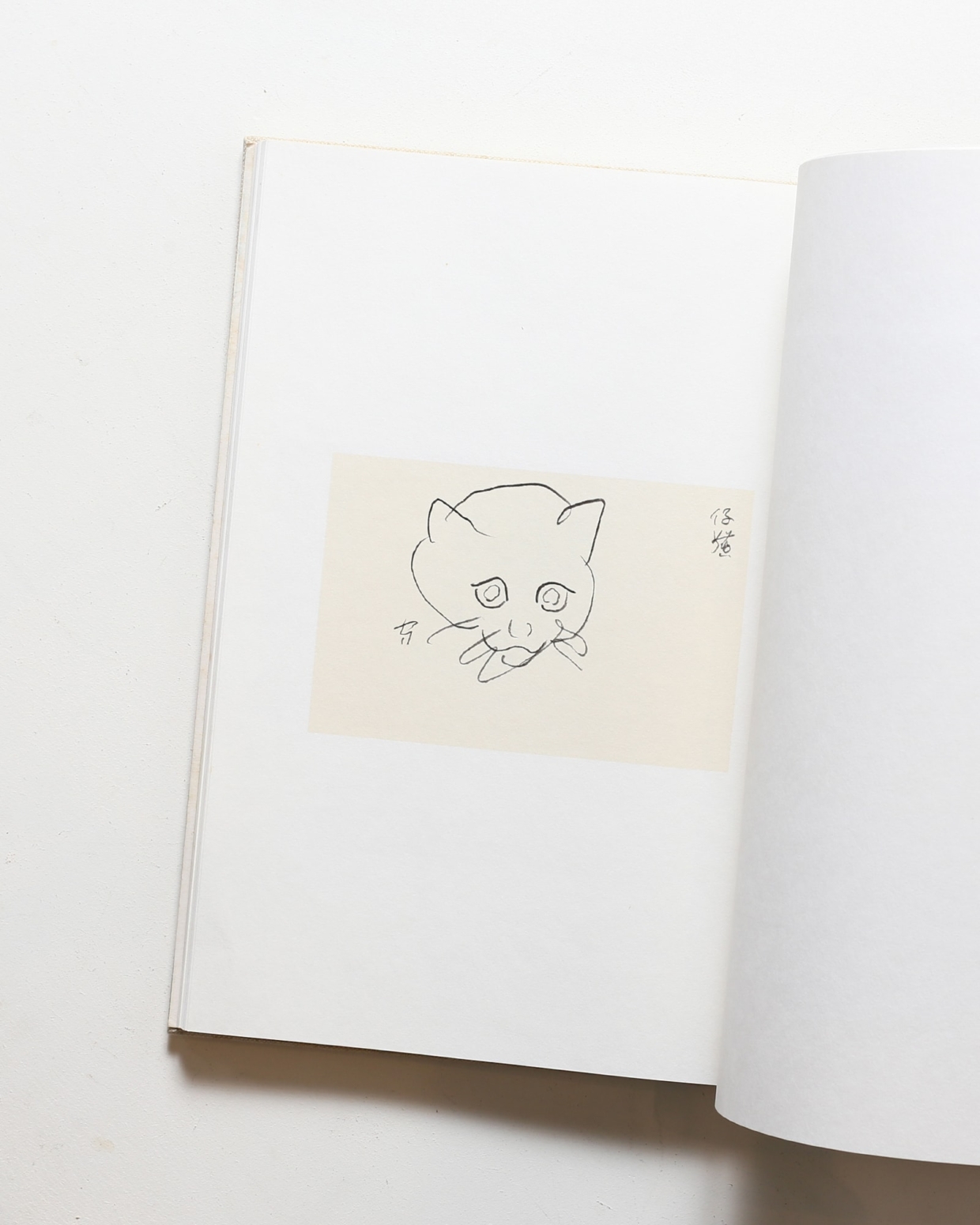 熊谷守一 クロッキー集 鳥獣虫魚 | 神無書房 | nostos books