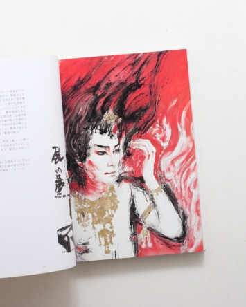 nsts-08209