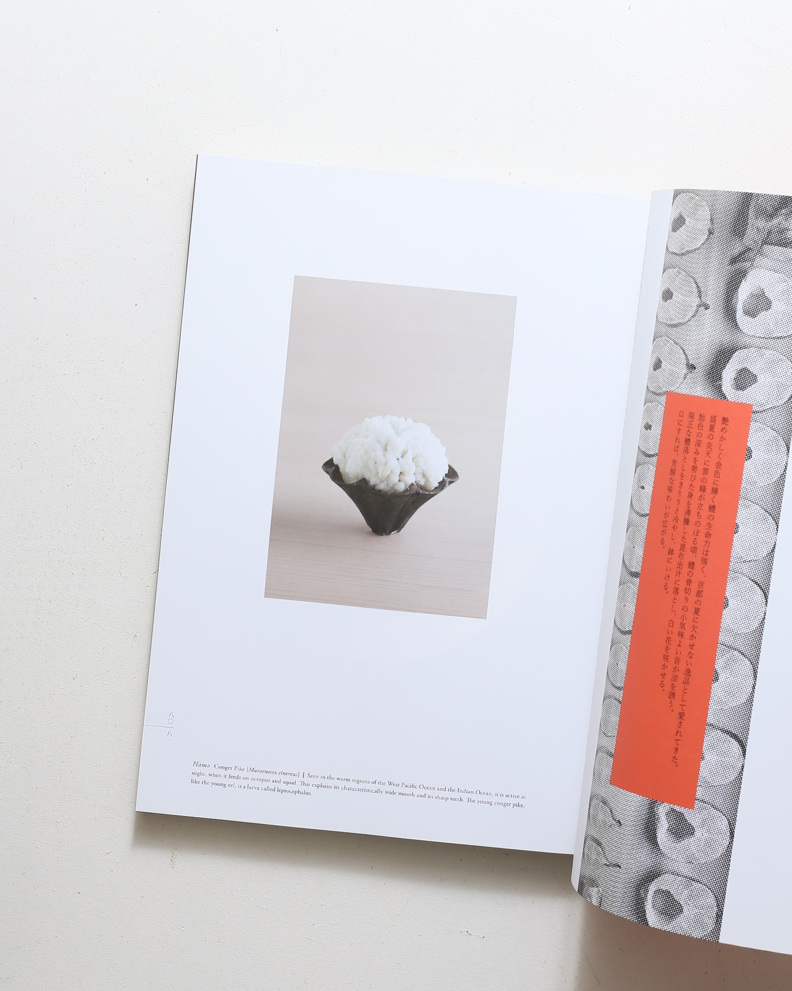 nsts-09702
