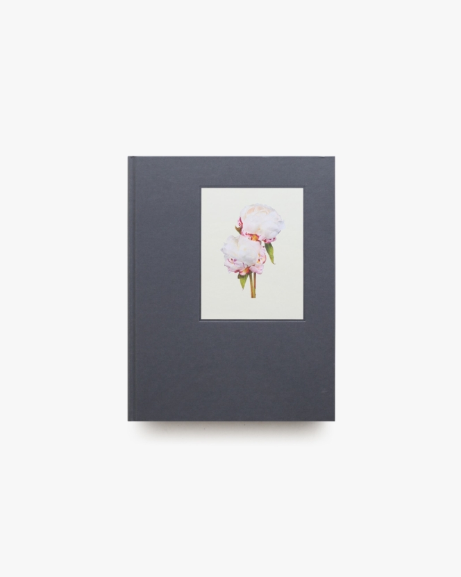 The Most Beautiful Flowers | Kenji Toma