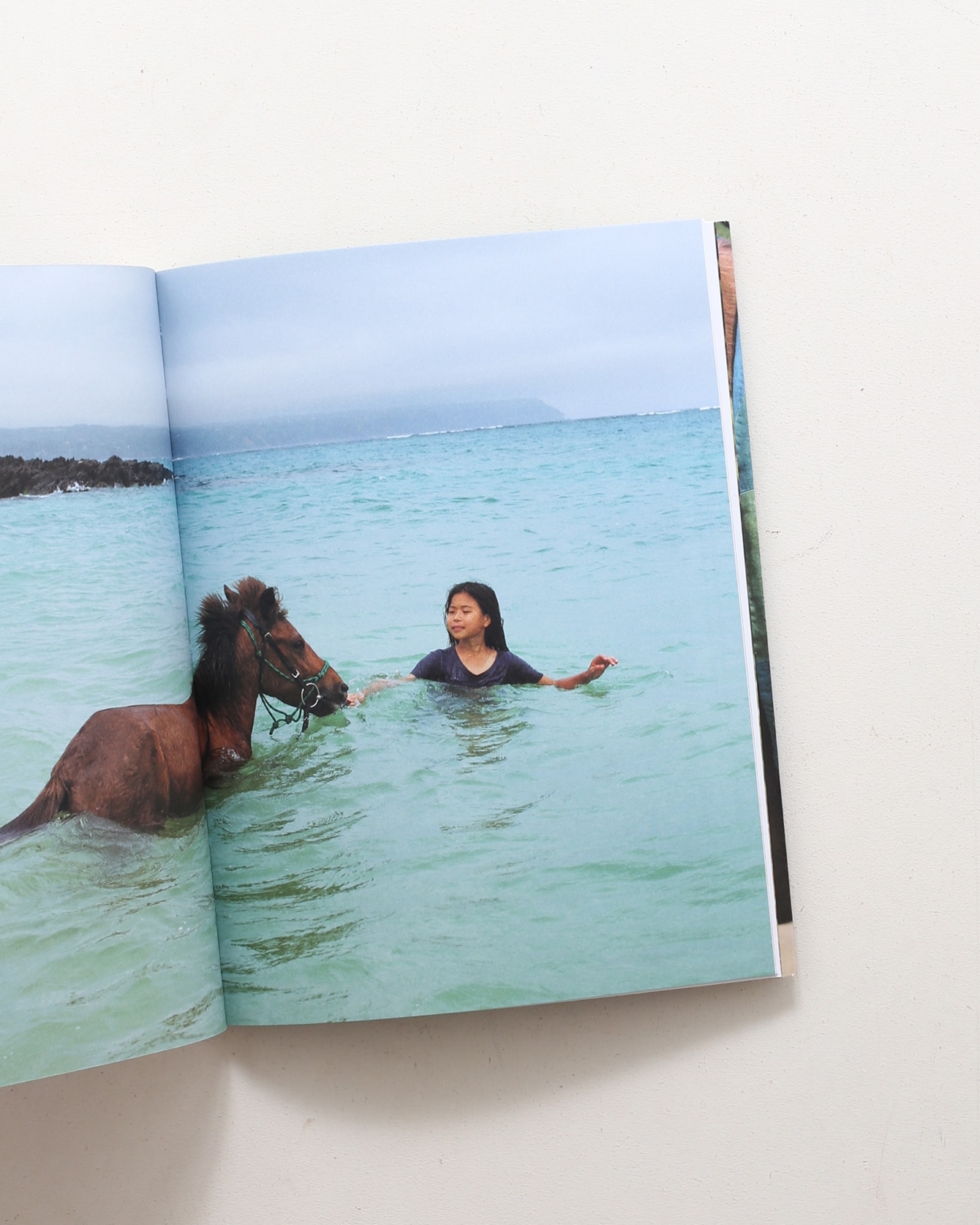 The Horse in the Gourd | Charlotte Dumas シャルロット