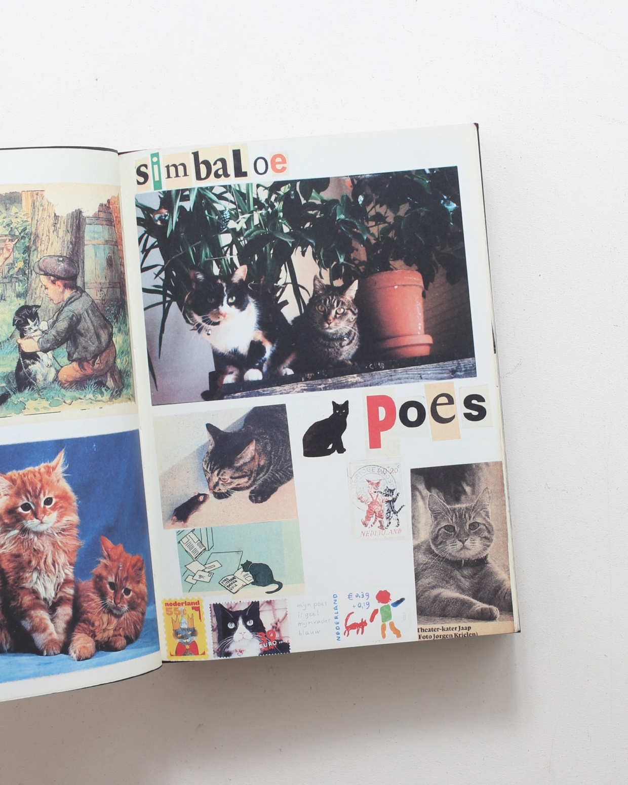 Animal Books for Jaap Zeno Anna Julian Luca | Lous Martens