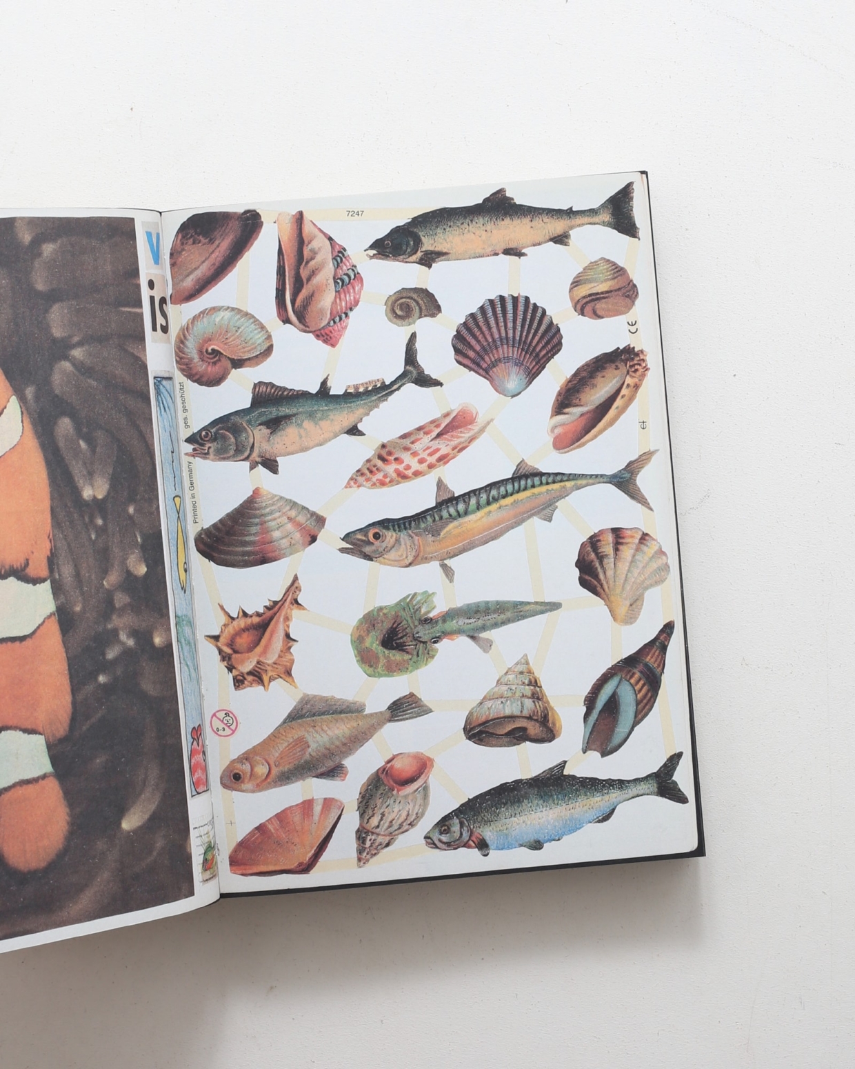 Animal Books for Jaap Zeno Anna Julian Luca | Lous Martens