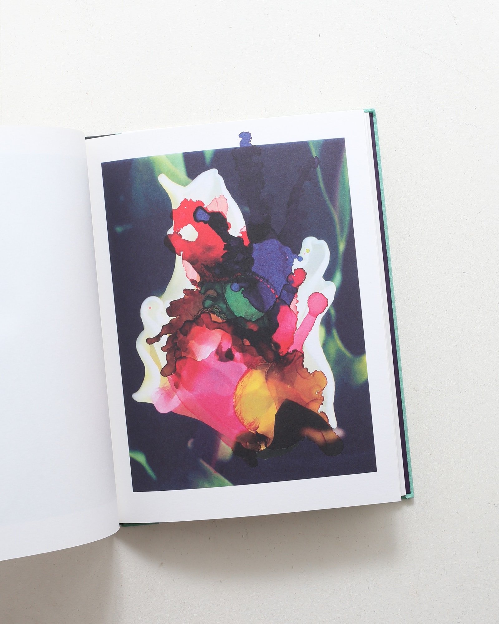 Viviane Sassen ＆ Emanuele Coccia: Modern Alchemy